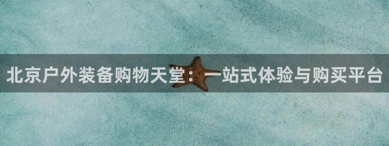 新宝gg — 创造!