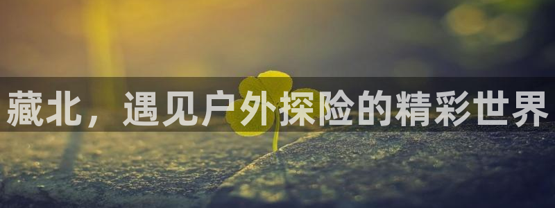 新宝gg漏洞