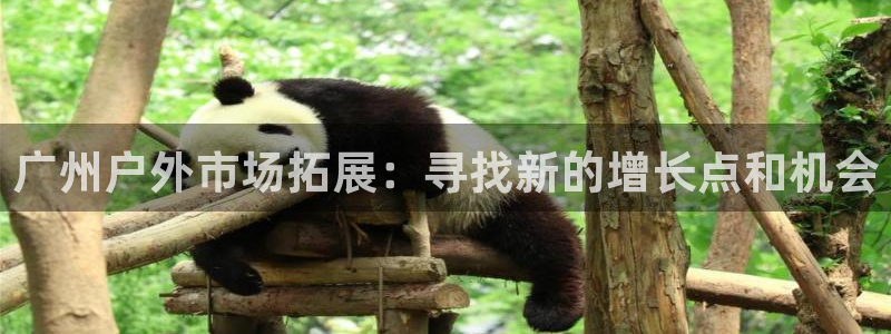 新宝gg登录线路测试