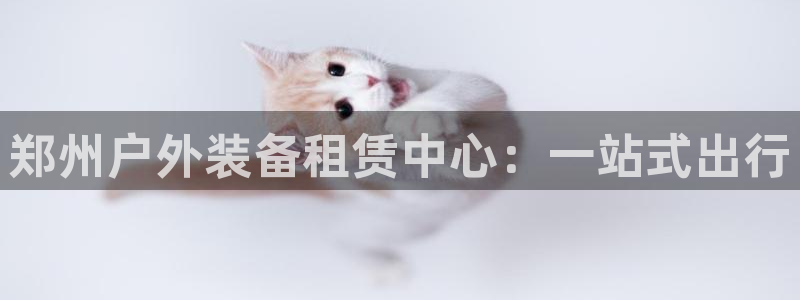 新宝gg创造