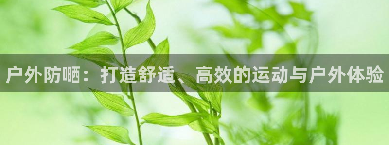 新宝GG网页