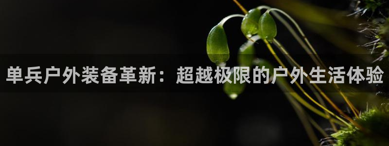 新宝gg游戏平台