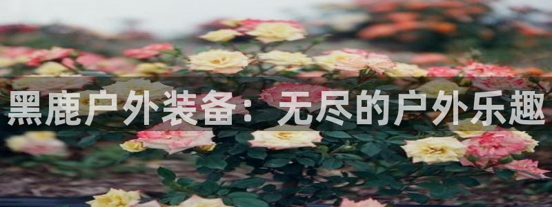新宝GG桌面