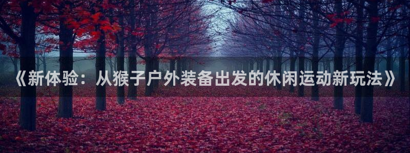 新宝gg主管_