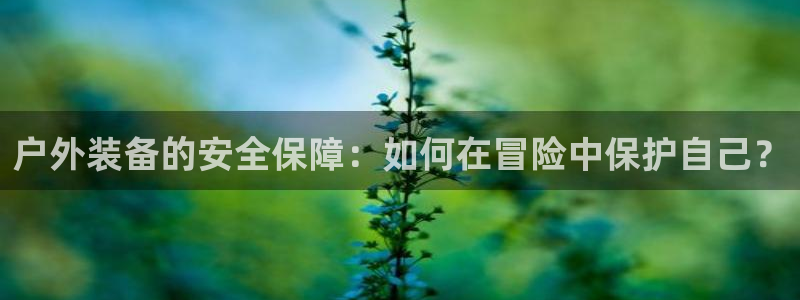 新宝gg登陆平台