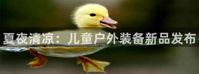 新宝gg娱乐盟主