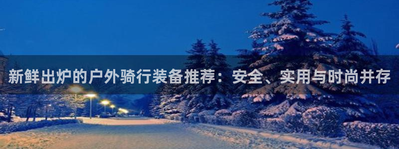 新宝GG股东