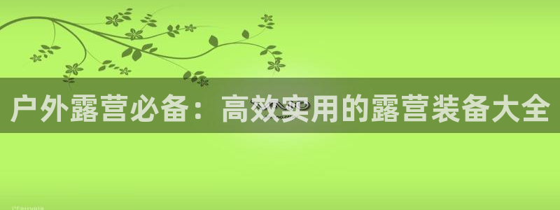 新宝GG反点