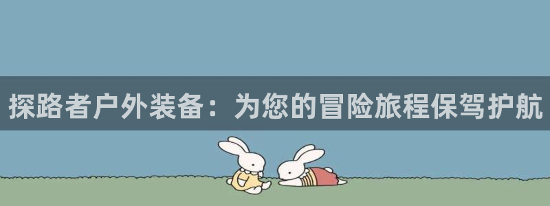 新宝gg资料