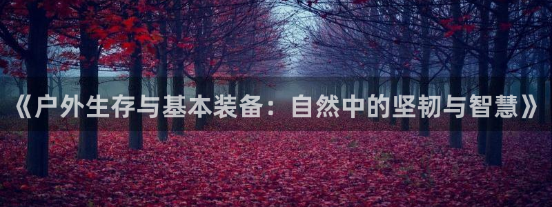 新宝gg返点1956是多少