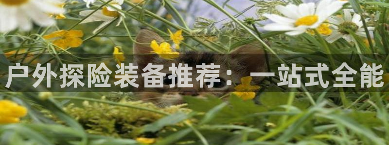 新宝gg娱乐登录地址