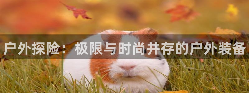 新宝gg平台怎么样